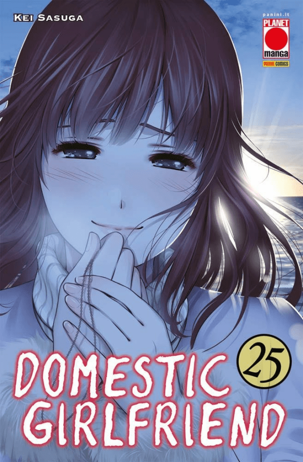 Domestic Girlfriend