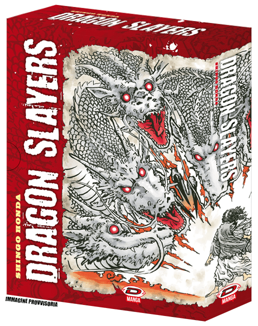 Dragon Slayers Collector's Box Vol.1-3