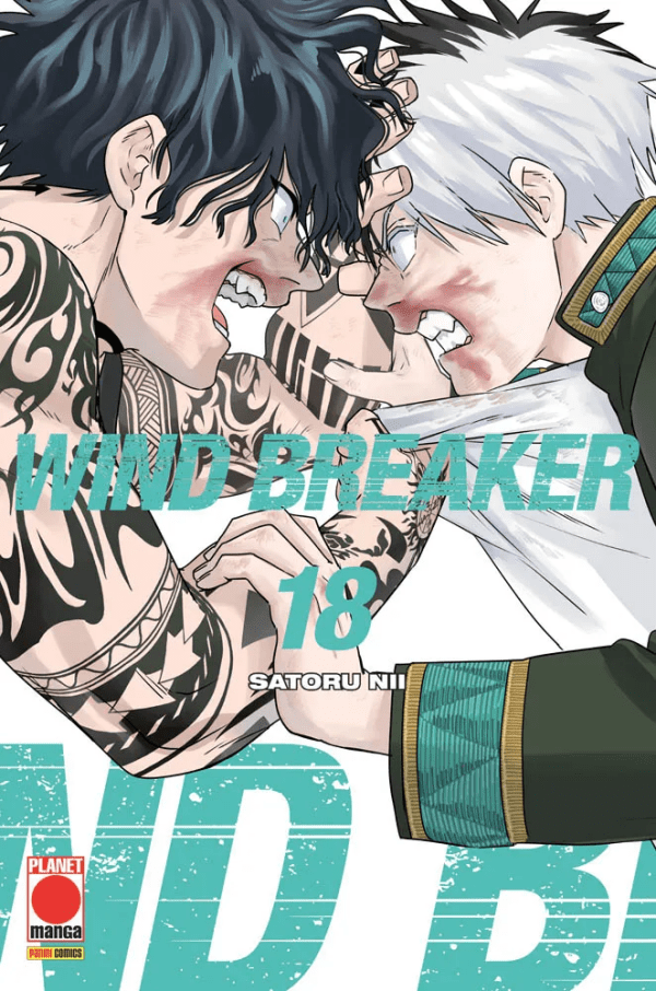 Wind Breaker 18